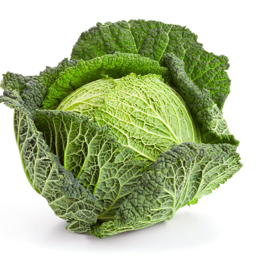 Cabbage Seeds - Savoy Perfection