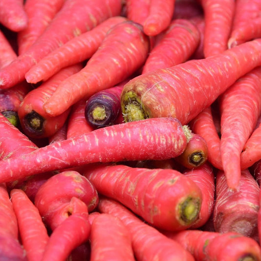 Carrot Seeds - Atomic Red