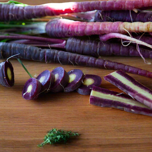 Carrot Seeds - Black Nebula