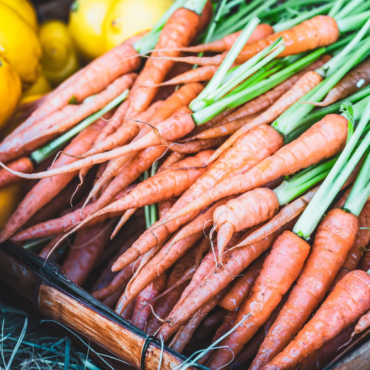 Carrot Seeds - Little Fingers
