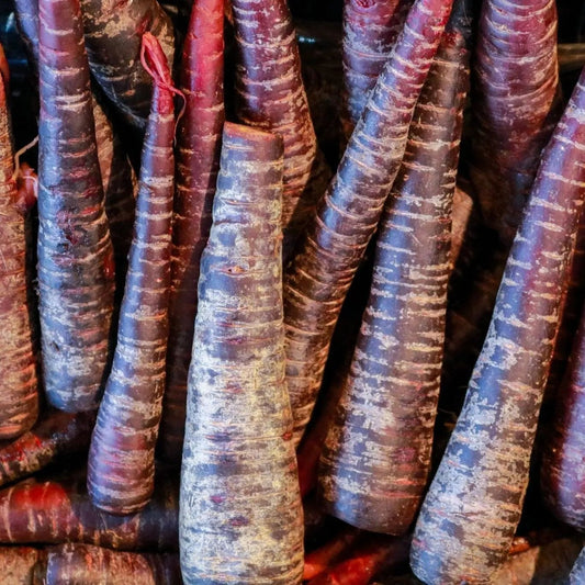 Carrot Seeds - Royal Purple Carrot