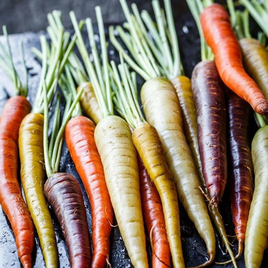 Carrot Seeds - Rainbow Mix Carrot