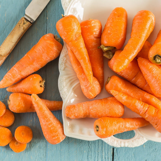 Carrot Seeds - Royal Chantenay