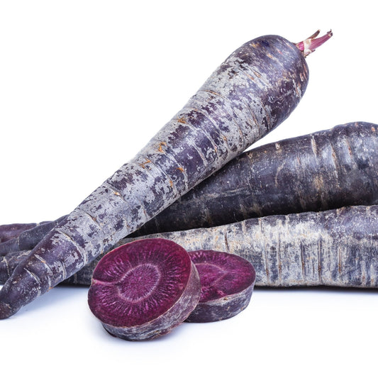 Carrot Seeds - Royal Purple Carrot