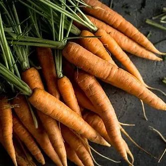 Carrot Seeds - Scarlet Nantes