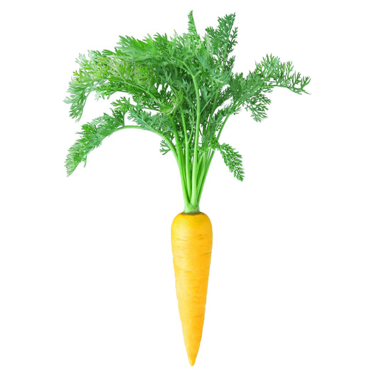 Carrot Seeds - Yellowstone