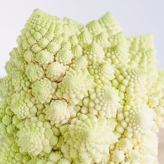 Cauliflower Seeds - Di Jesi