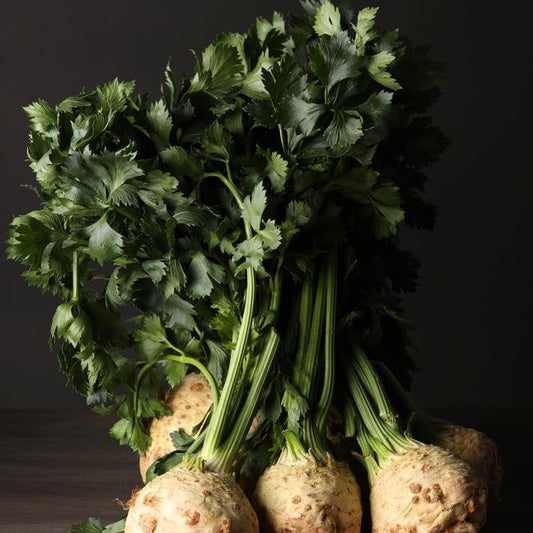 Celeriac Seeds - Giant Prague