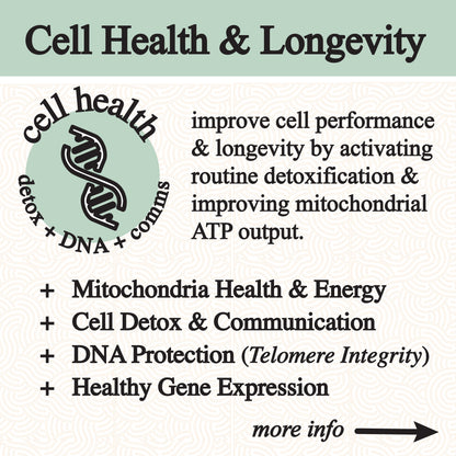 inflammation tincture.