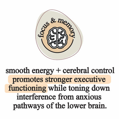 elemental mushroom blend