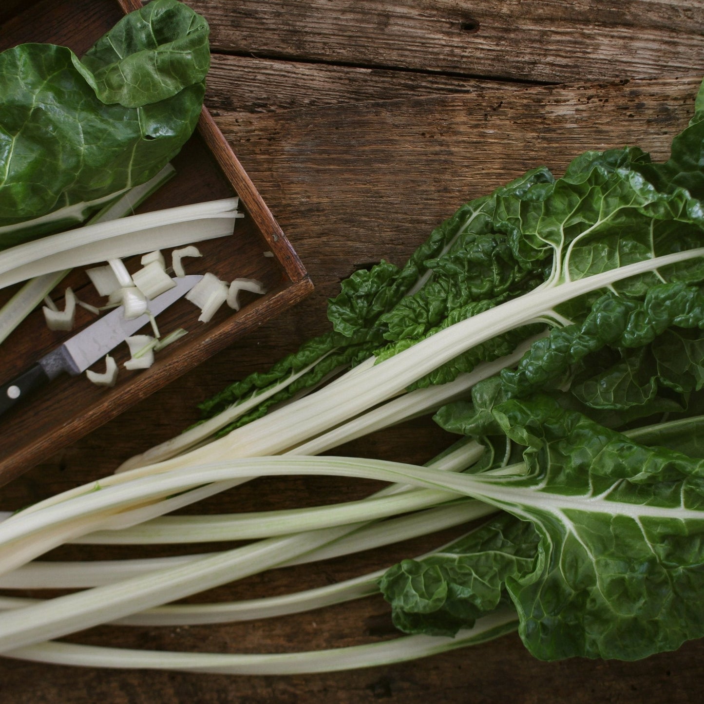 Chard Seeds - Swiss - Lucullus