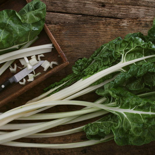 Chard Seeds - Swiss - Lucullus