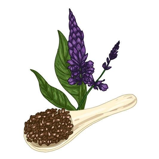 Chia Seeds - Black chia