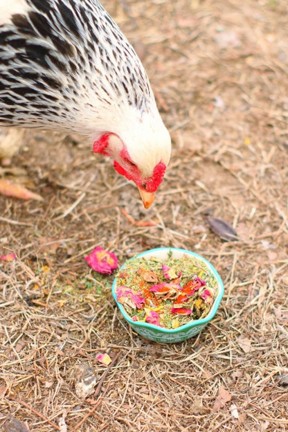 WormBGone Nesting Herbs For Pet Chickens With Roses, Chilis, Calendula, Dandelion For Healthier Coops