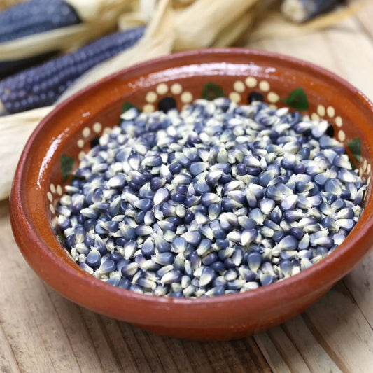 Corn Seeds - Flour -Hopi Blue Corn