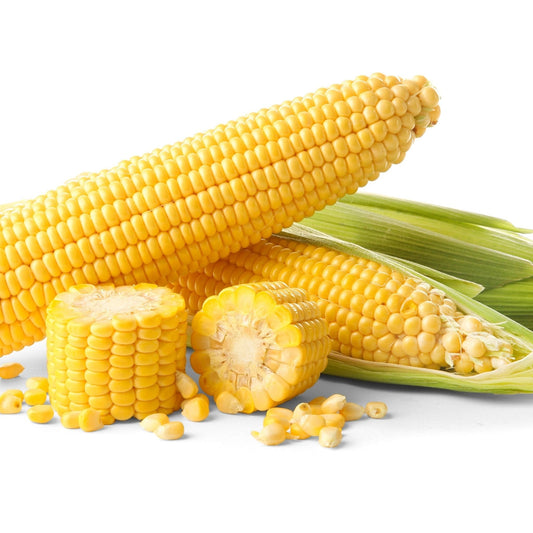 Corn Seeds - Sweet - Golden Bantam 8 Row Corn