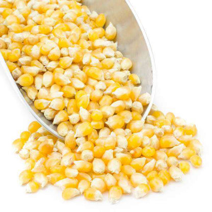 Popcorn, Yellow, Organic from Country Life Natural Foods