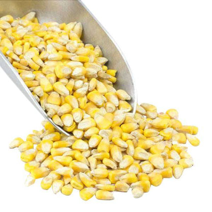 Corn, Whole Yellow, Organic, Grains, Rice & Cereal from Country Life Natural Foods