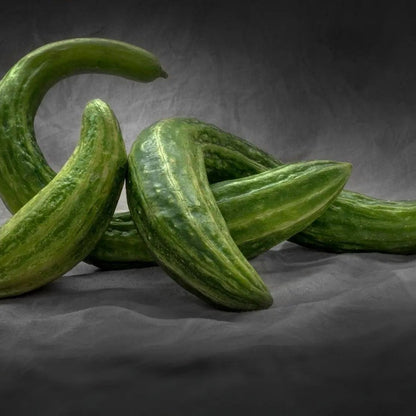 Cucumber Seeds - Vining - Armenian
