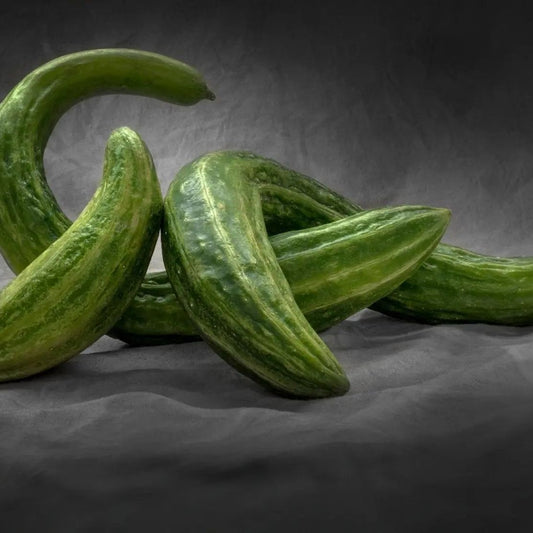 Cucumber Seeds - Vining - Armenian