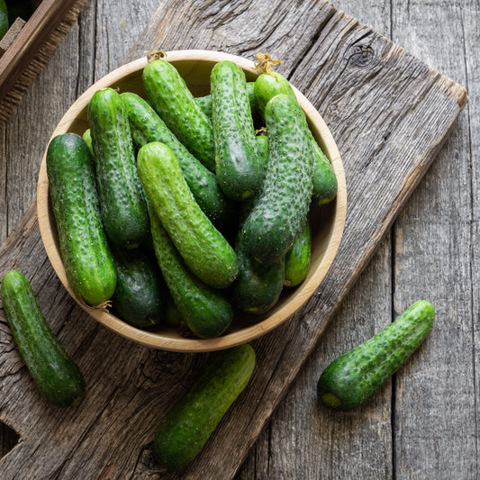Cucumber Seeds -  Bush - Pickling