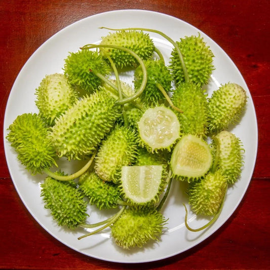 Cucumber Seeds - Vining - Jamaican Burr Gherkin