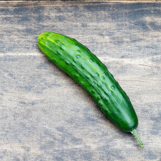 Cucumber Seeds - Vining - Marketmore 76 Cucumber
