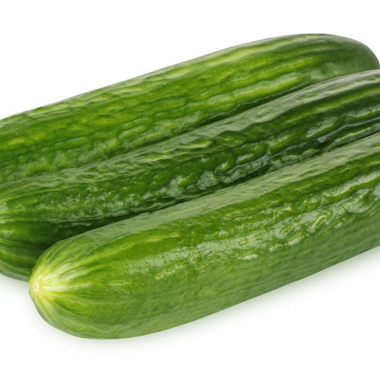 Cucumber Seeds - Vining - Beit Alpha