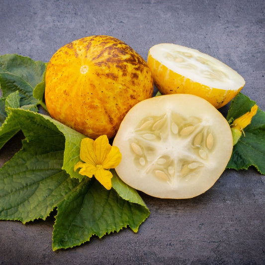 Cucumber Seeds - Vining - Lemon