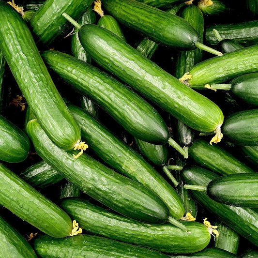 Cucumber Seeds - Vining - Marketer
