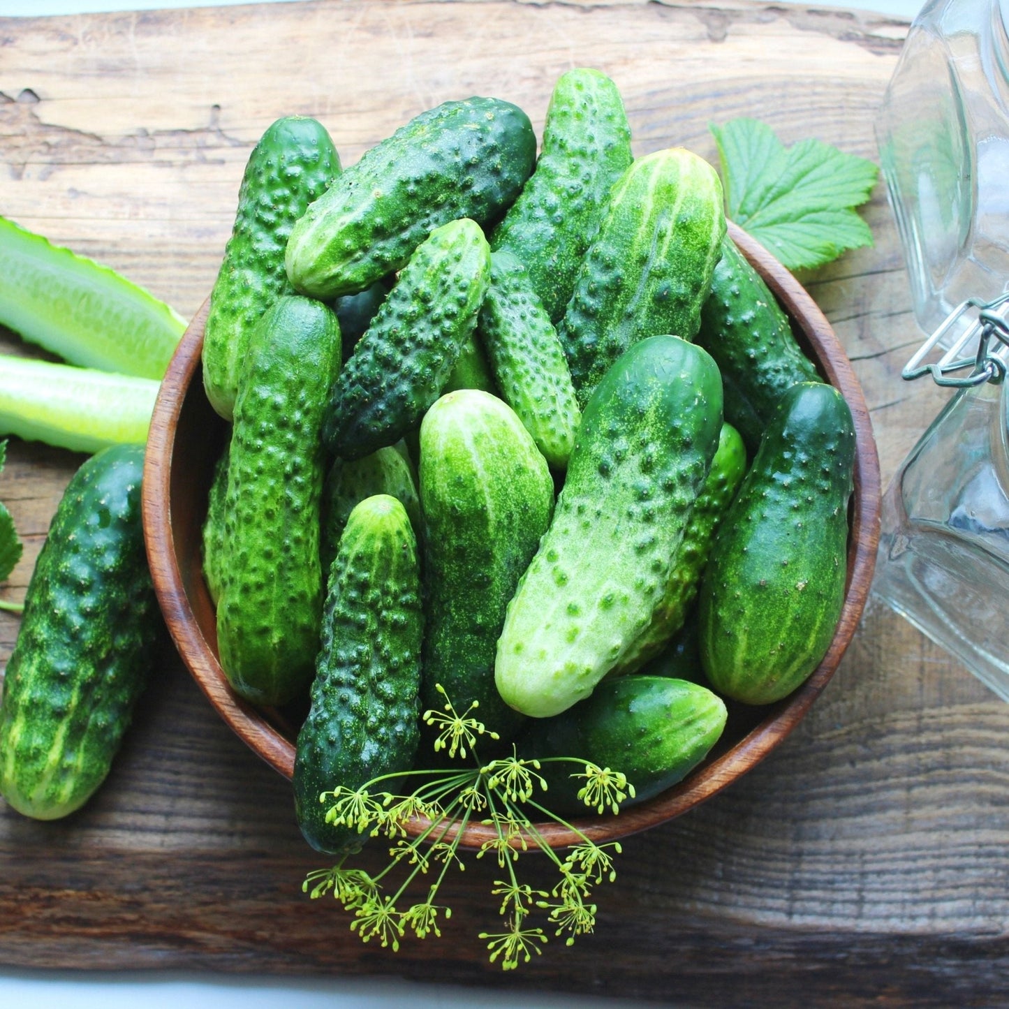 Cucumber Seeds - Vining - Poinsett 76