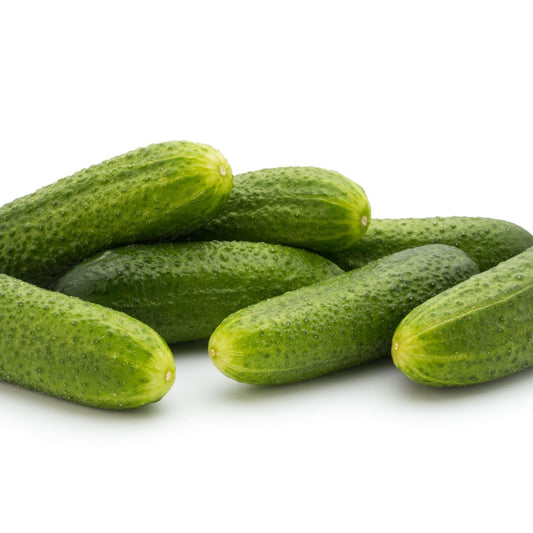 Cucumber Seeds - Vining - Rhinish Pickle