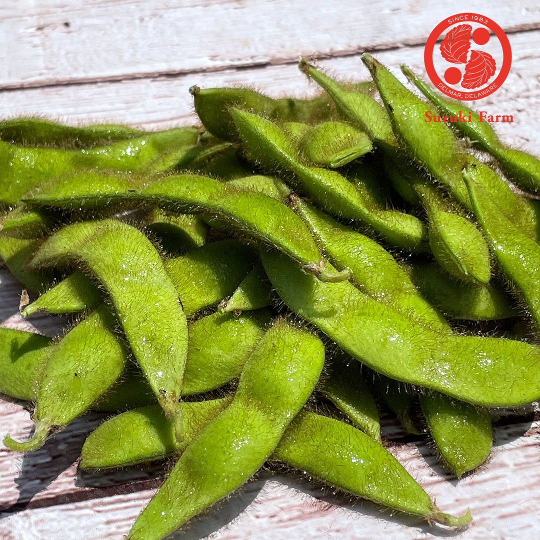 EDAMAME on branch (Young Soybeans) | Suzuki Farm | 1 bunch