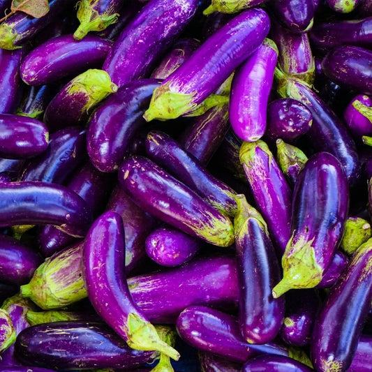Eggplant Seeds - Pingtung Long