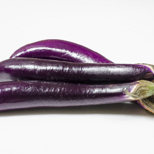 Eggplant Seeds - Pingtung Long