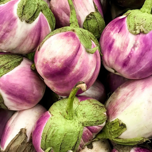 Eggplant Seeds - Rosa Bianca