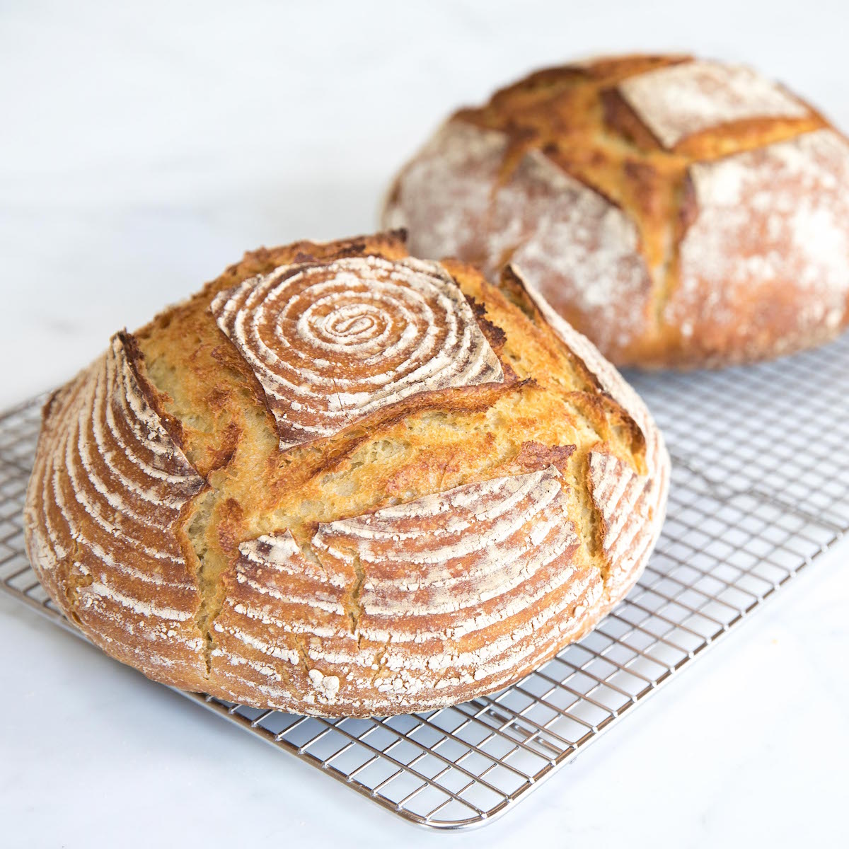 Organic Einkorn All-Purpose Flour 2 lb.