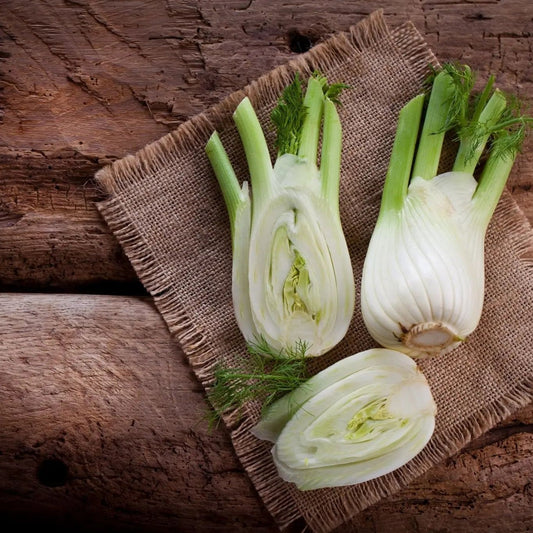 Fennel Seeds - Florence Fennel