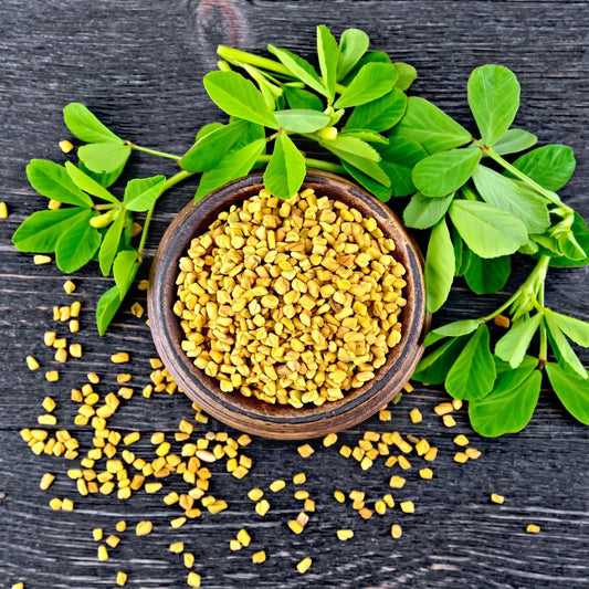 Fenugreek Seeds