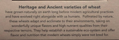 RIGATONI - Heritage and ancient wheat pasta box - 12 boxes x 8oz