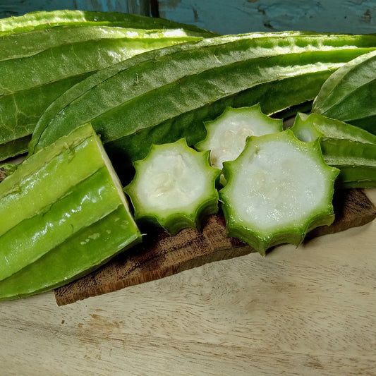 Gourd Seeds - Luffa Gourd