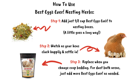Best Eggs Ever! Nesting Herbs (Chamomile, Roses, Lavender, Cornflowers, & Calendula) For Pet Chickens