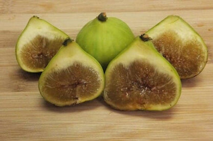 LSU Gold Fig Tree (Ficus carica 'LSU Gold') - Sweet, Golden Fruits for Your Garden