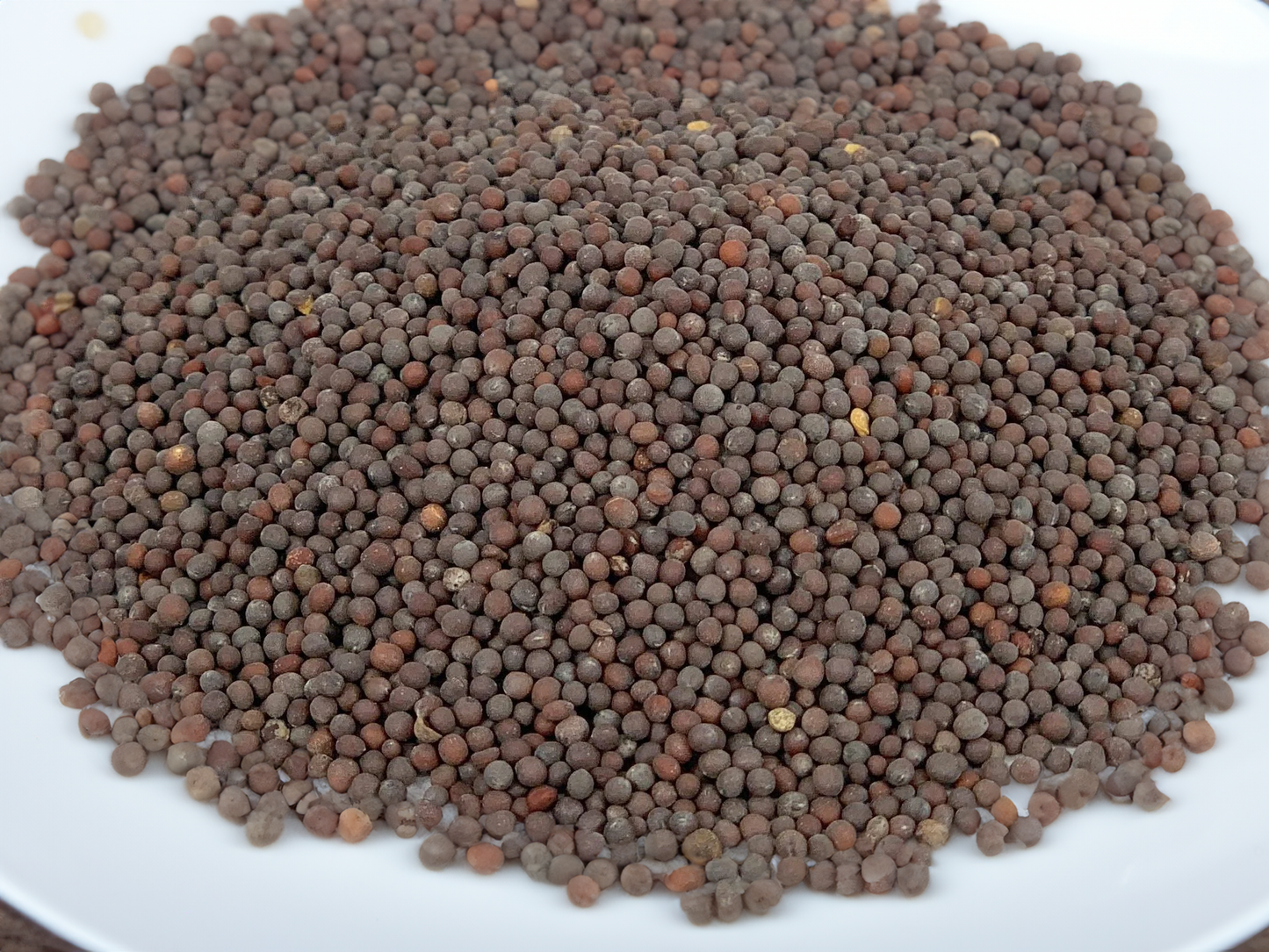 Black Mustard Seed, Whole