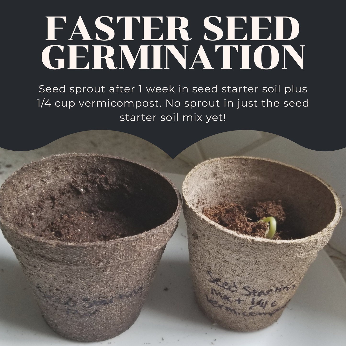 Under the Counter Worm Bin Starter Bundle by Elm Dirt