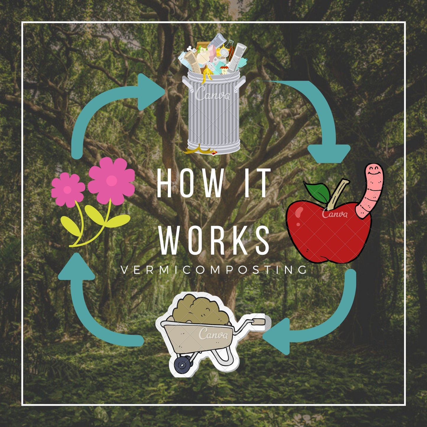 Under the Counter Worm Bin Starter Bundle by Elm Dirt