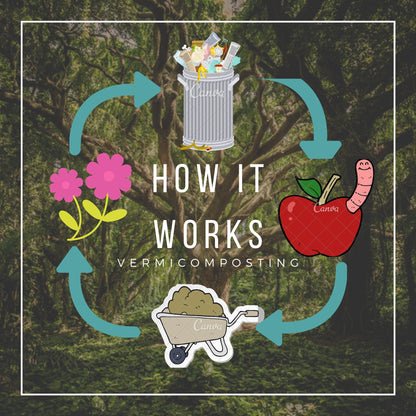 Under the Counter Worm Bin Starter Bundle by Elm Dirt