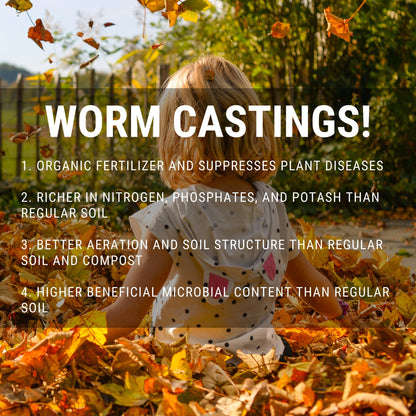 Under the Counter Worm Bin Starter Bundle by Elm Dirt