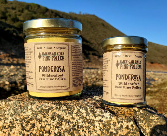 Ponderosa Pine Pollen - Raw and Wild-Harvested by AmericanRiverPinePollen