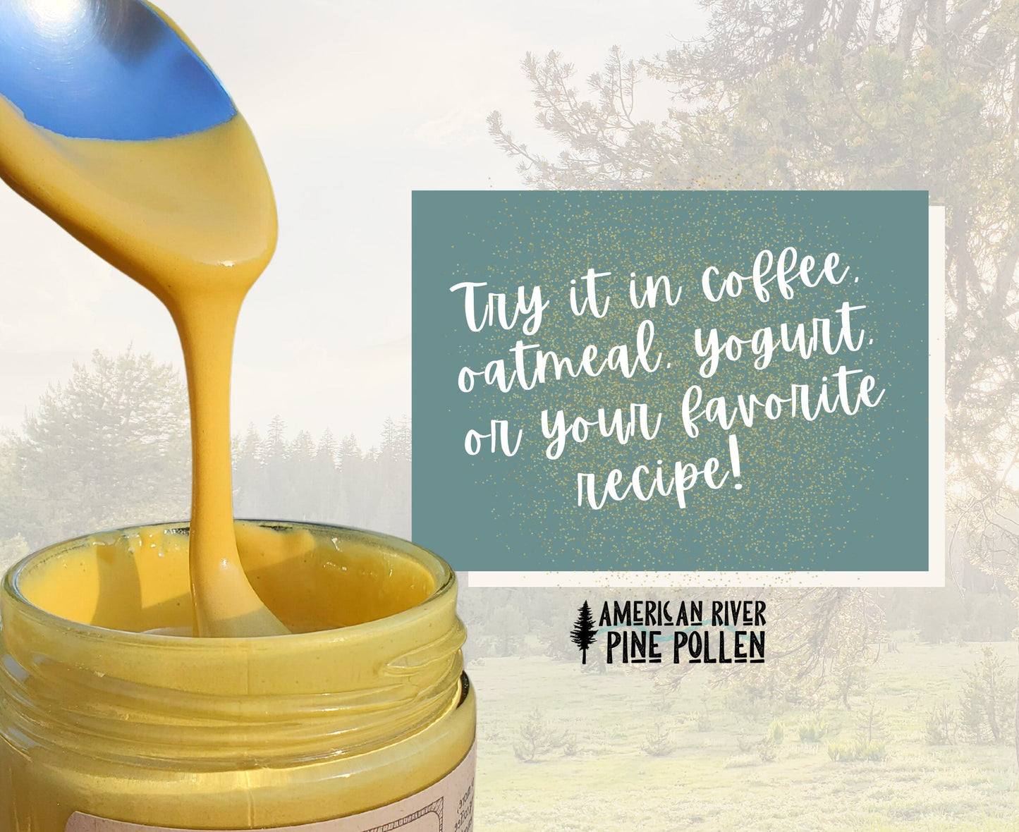 Liquid Gold -  Wildcrafted Raw Pine Pollen and Honey - Traditional Blend with Pine Synergy
